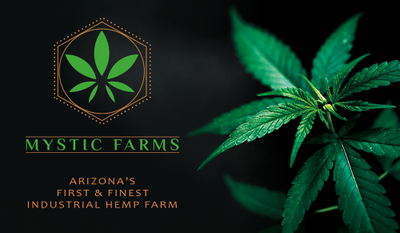 Mystic Farms