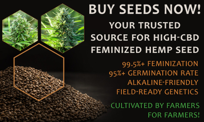 Mystic Farms Feminized seed banner